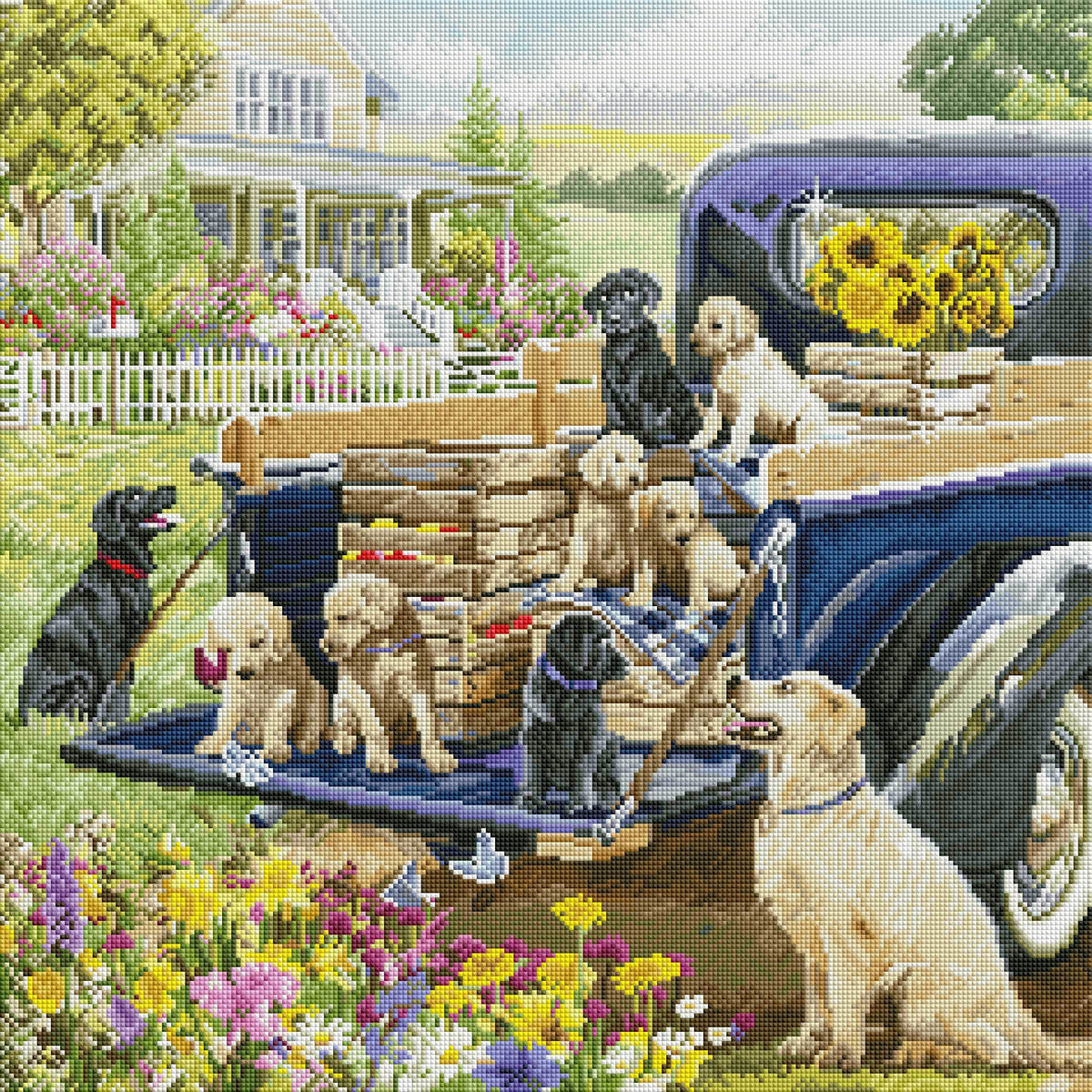 Country Life