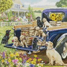 Country Life