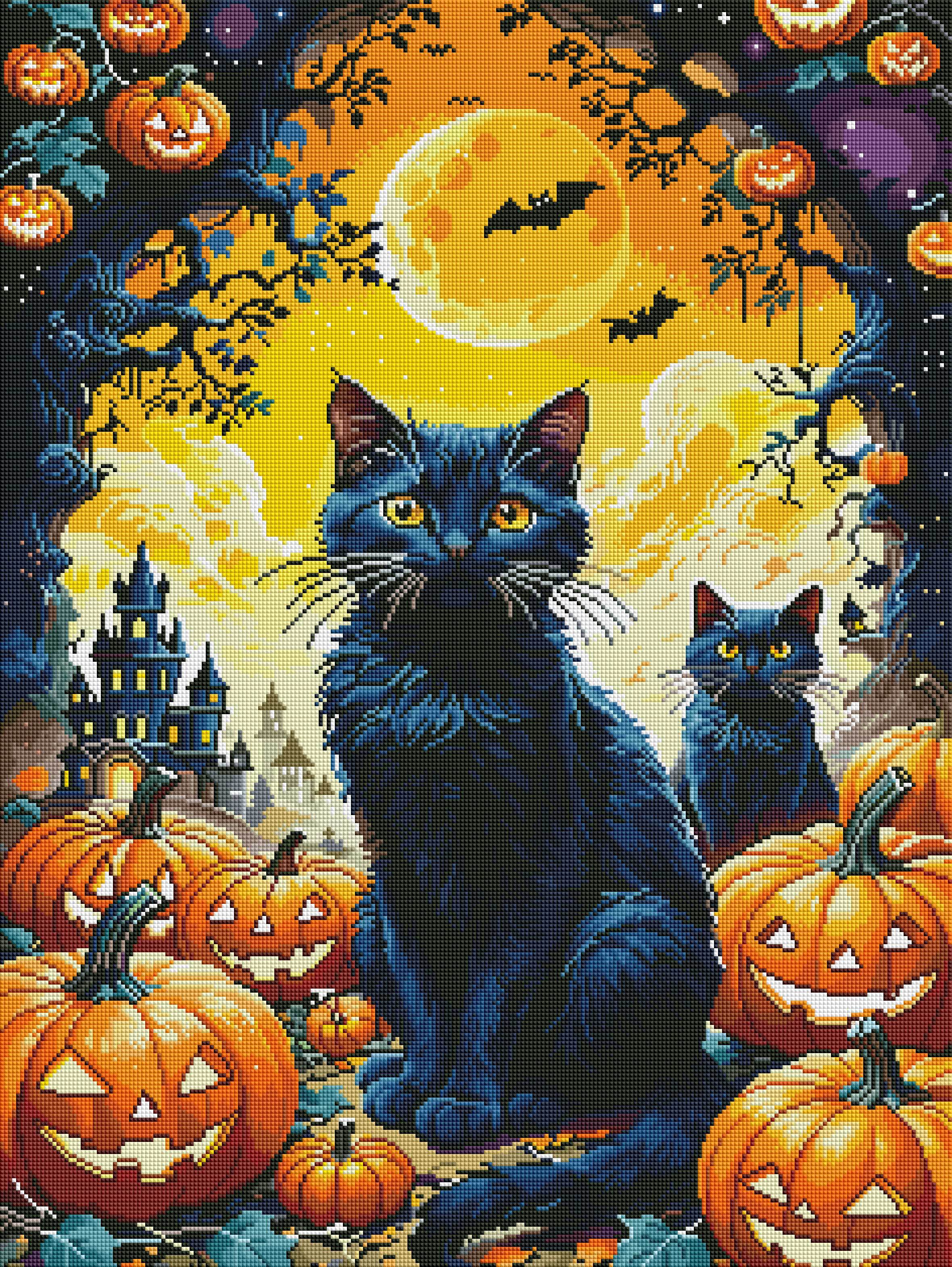 A909-Midnight-Whiskers---