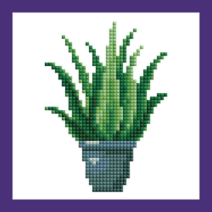 Mini Kits - House Plants Edition