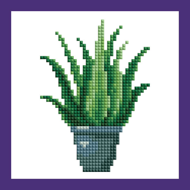 Mini Kits - House Plants Edition