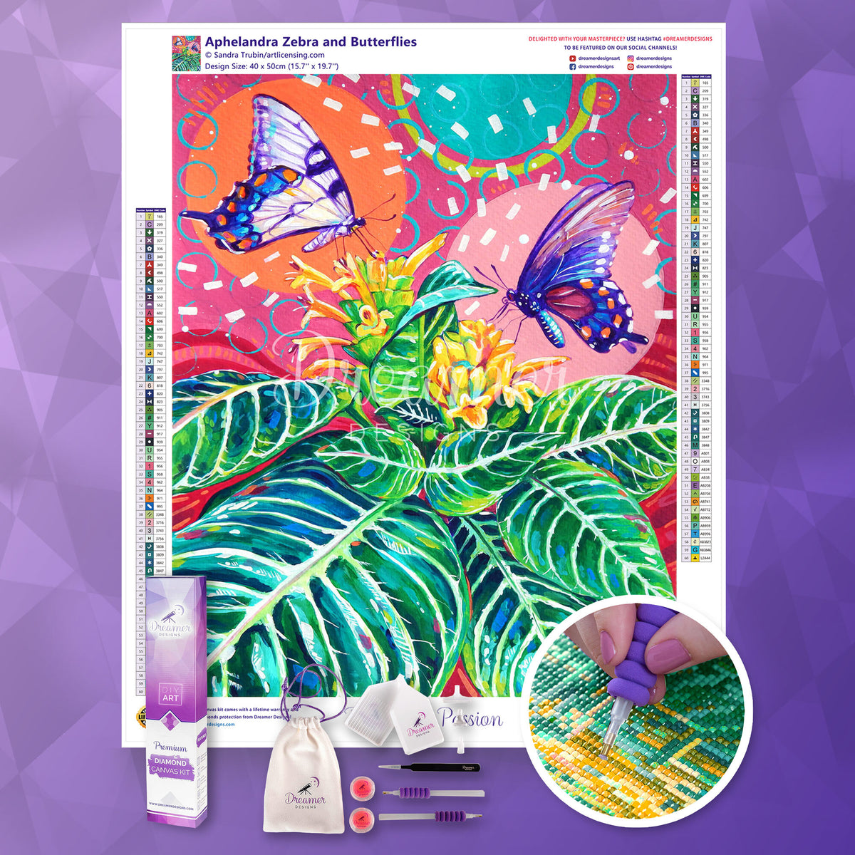 Aphelandra Zebra and Butterflies