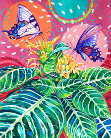 Aphelandra Zebra and Butterflies