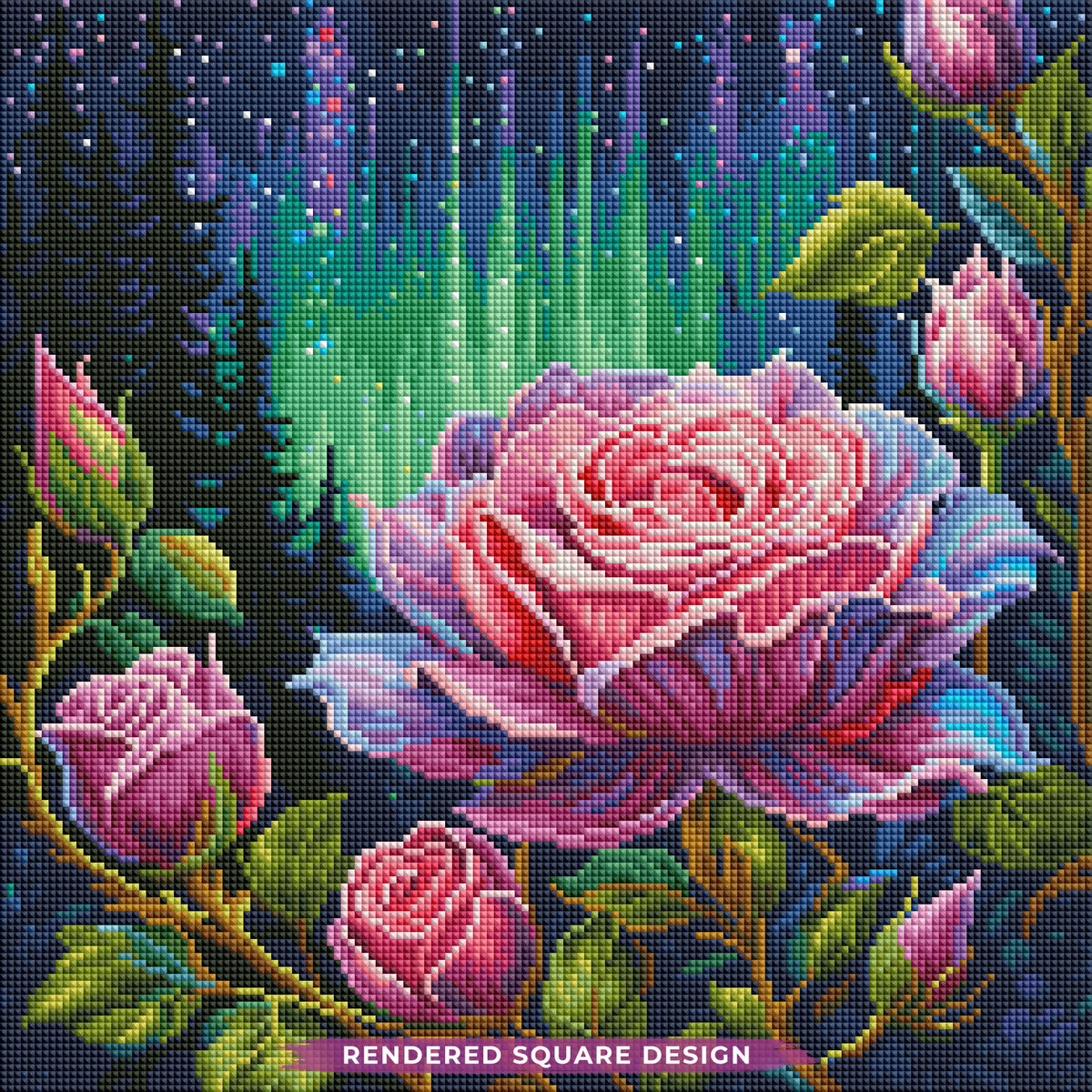 Aurora Roses