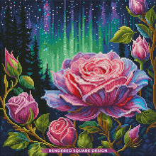 Aurora Roses
