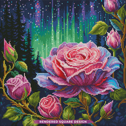 Aurora Roses