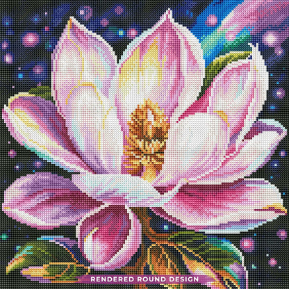 Aurora Magnolia