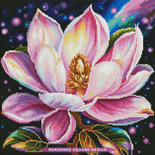 Aurora Magnolia