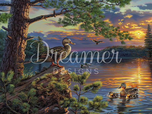 Bigelow-Illustrations---Duck-