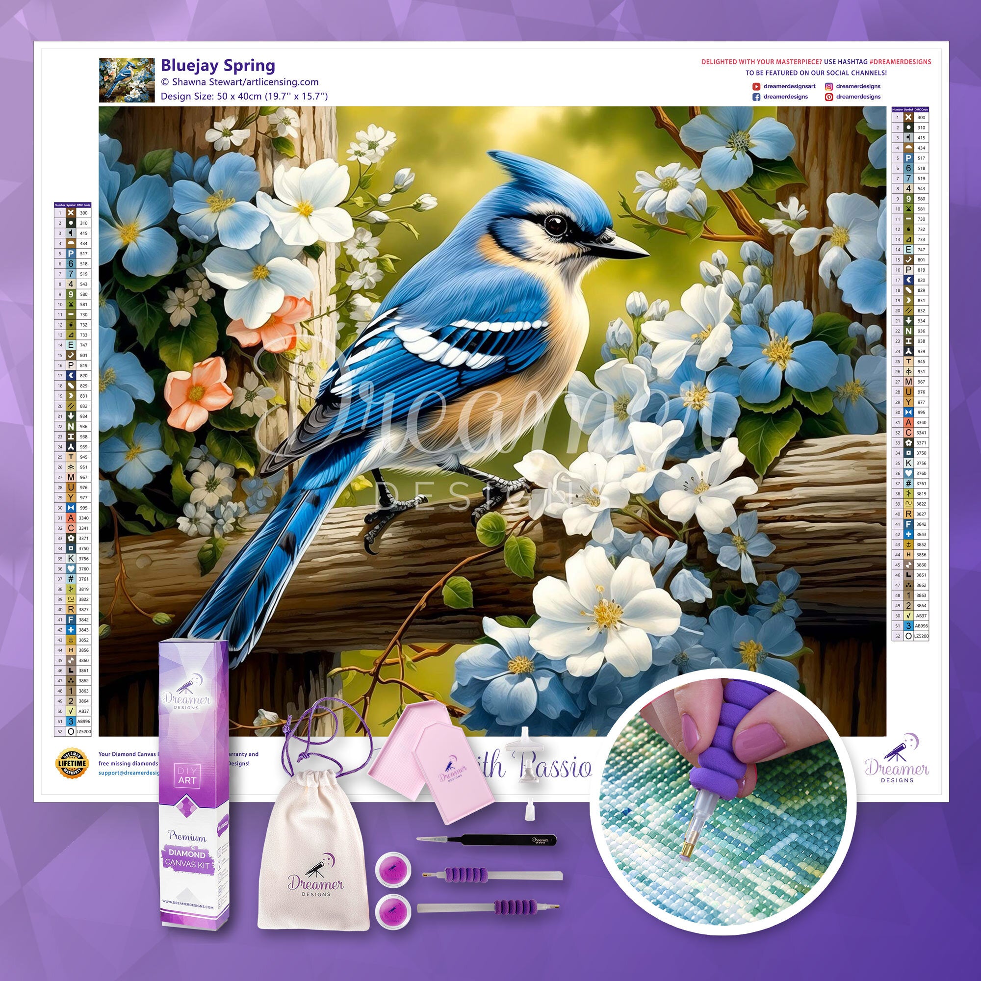 Bluejay Spring