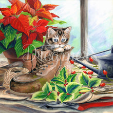 Potting Shed