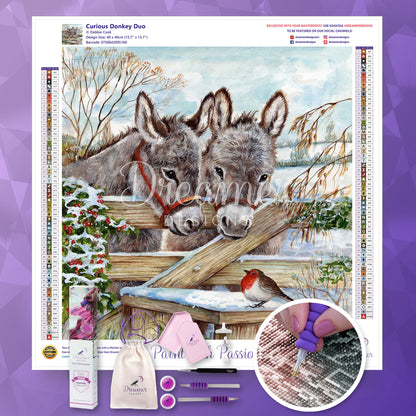 Curious Donkey Duo