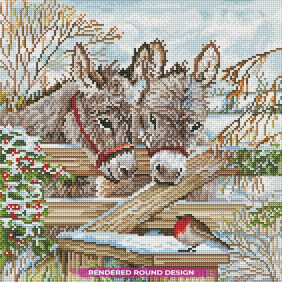 Curious Donkey Duo