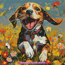 Daisy Field Frolic