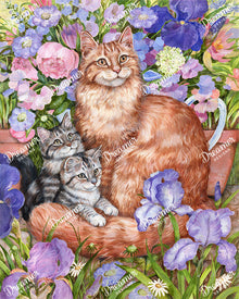 Cats Among Irises