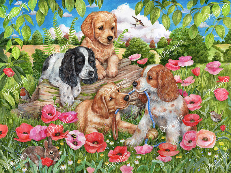 Dogs in Poppy Field