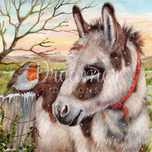 Donkey & Robin