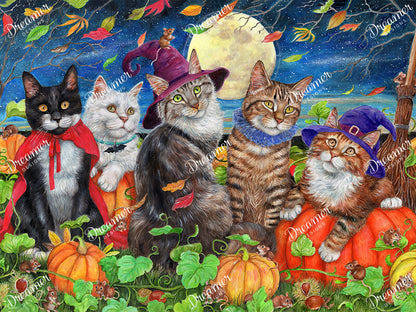 Moon Cats