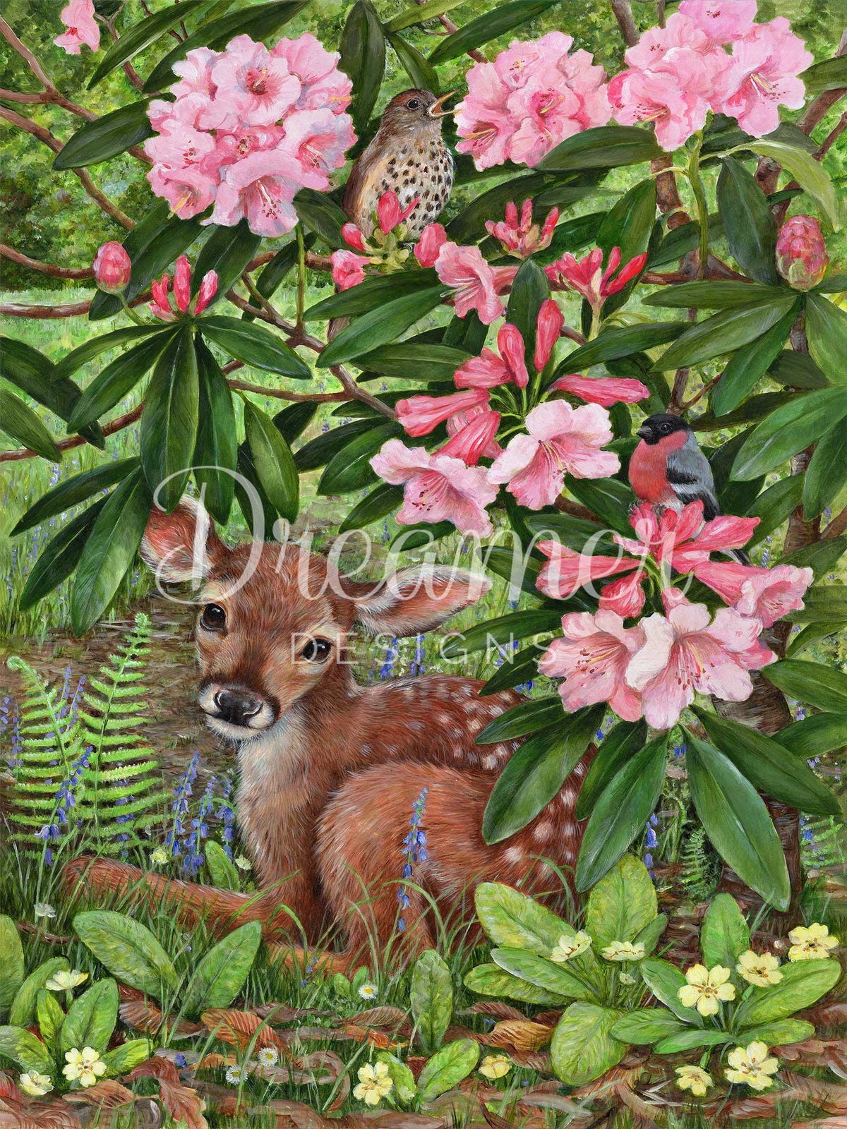 Quiet Fawn