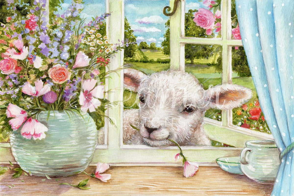 Spring Lamb