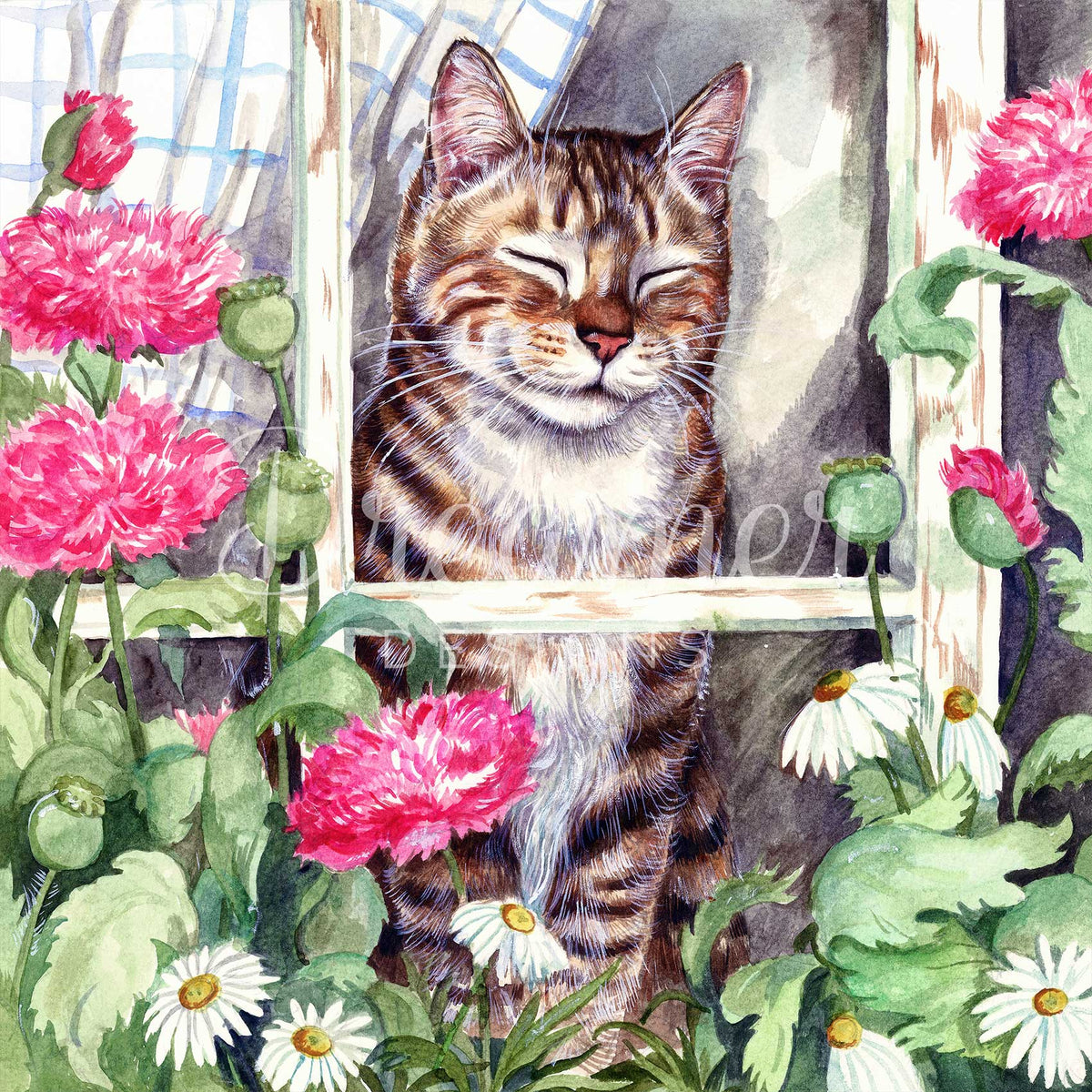 Window Whiskers