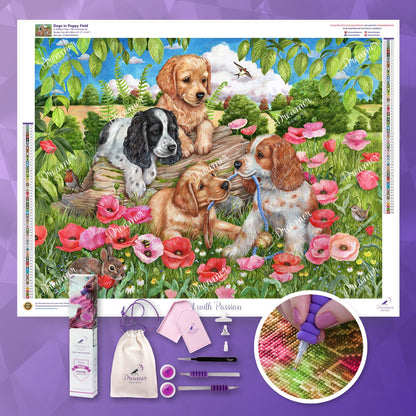 Dogs in Poppy Field