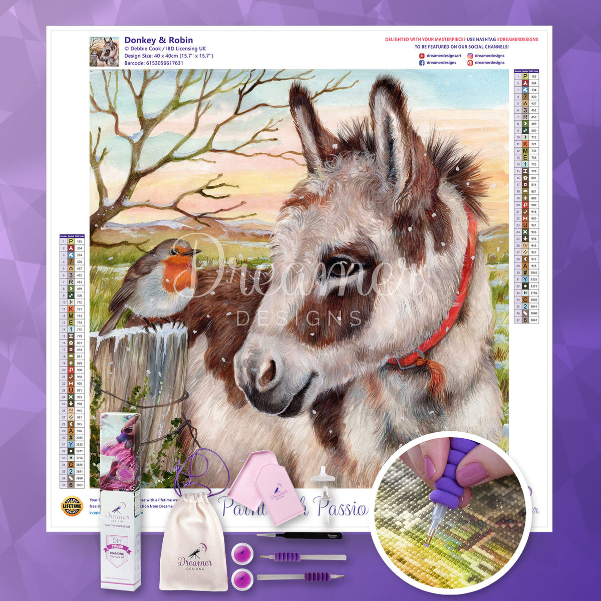 Donkey & Robin
