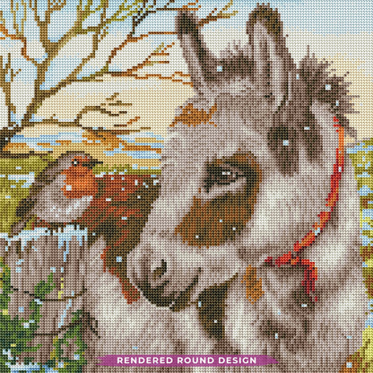 Donkey & Robin
