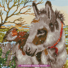 Donkey & Robin