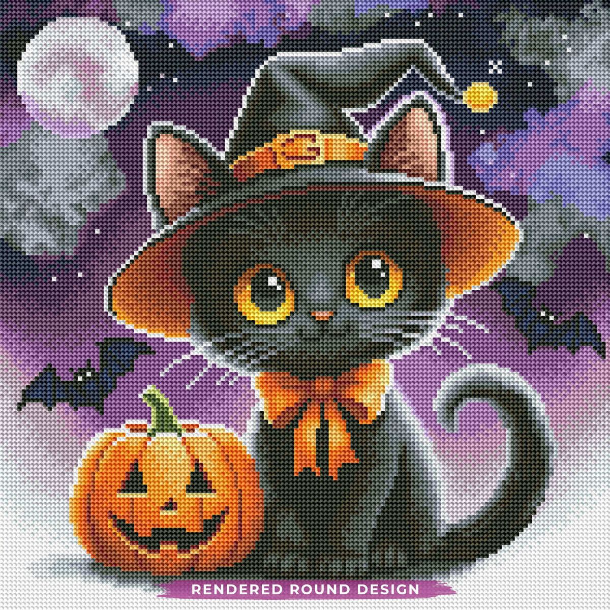 Midnight Meow