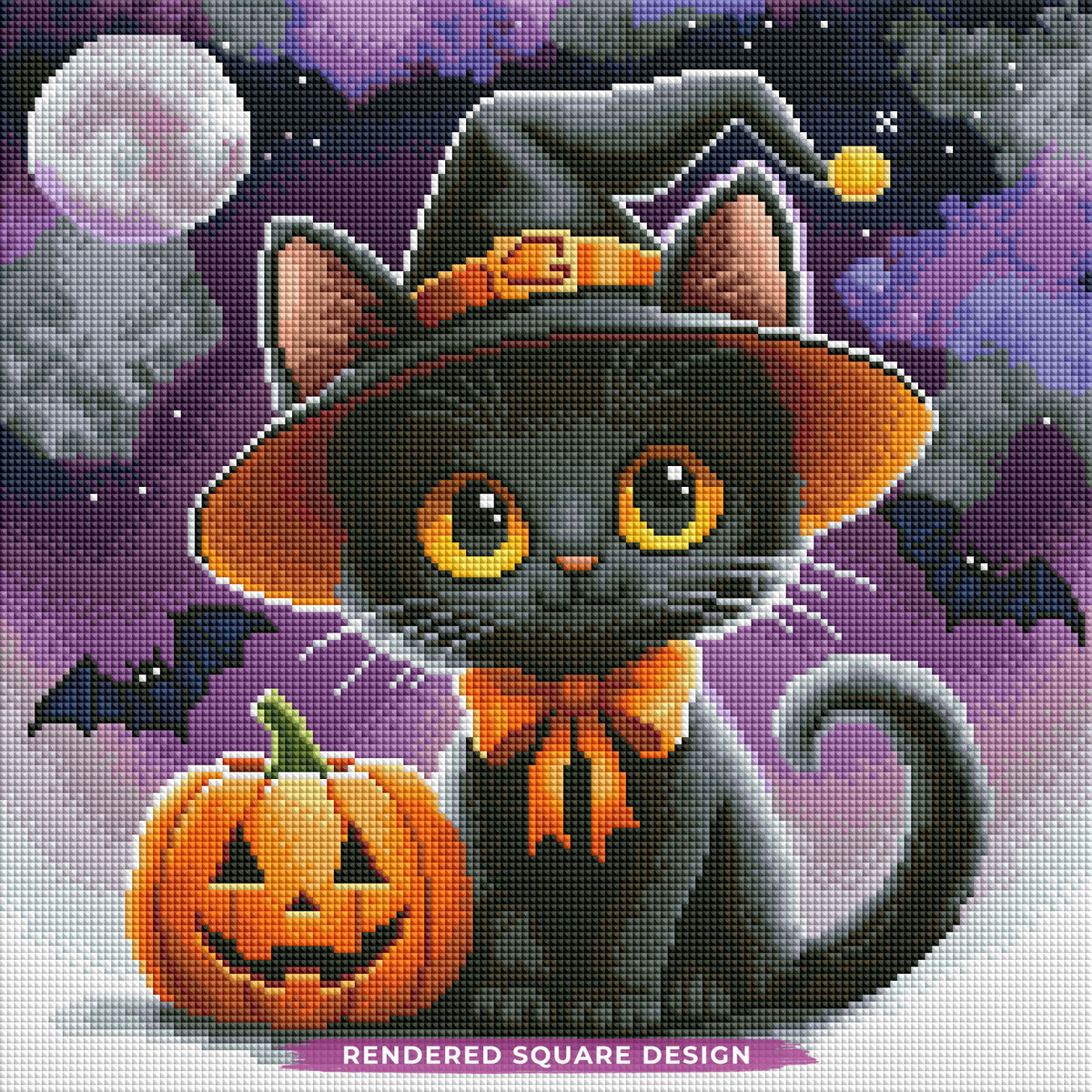 Midnight Meow