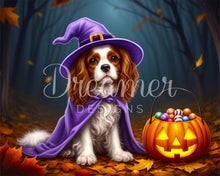 Hocus Pupcus