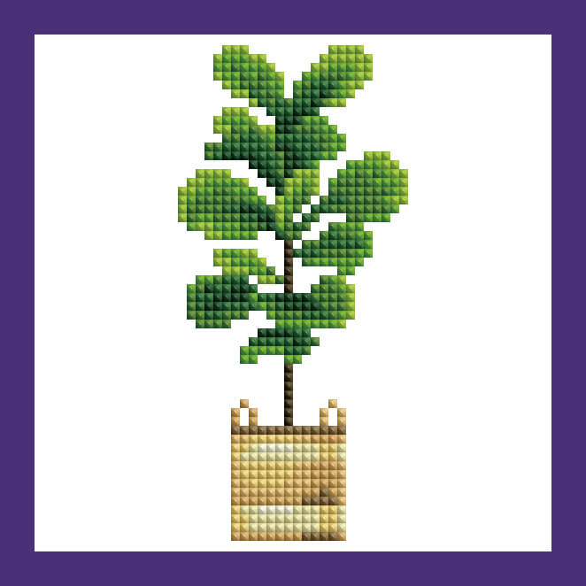 Mini Kits - House Plants Edition