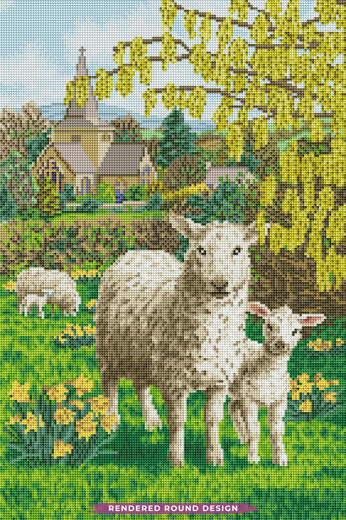 Fields of Grace