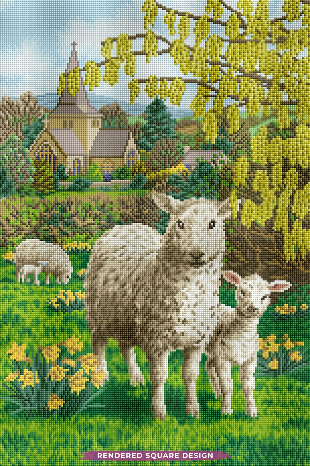 Fields of Grace