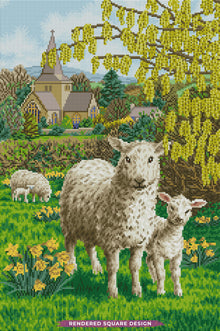 Fields of Grace