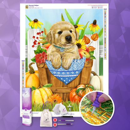 Harvest Helper