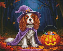 Hocus Pupcus
