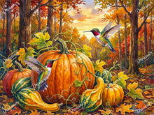 Harvest Hummingbirds