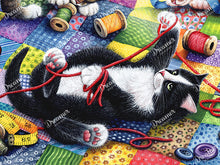 Playing With Wool