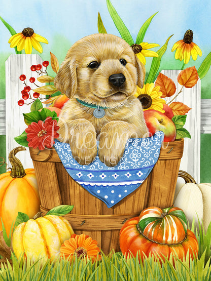 Harvest Helper
