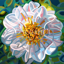Solitaire