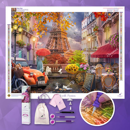 Paris View