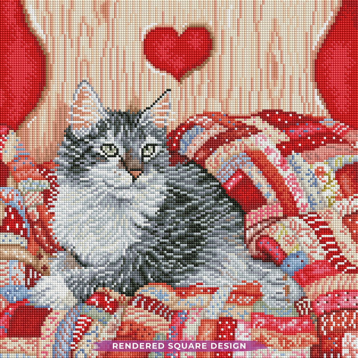 Paws & Patches
