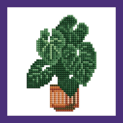 Mini Kits - House Plants Edition