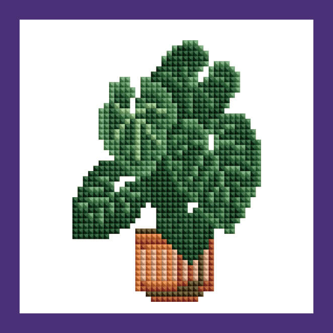 Mini Kits - House Plants Edition