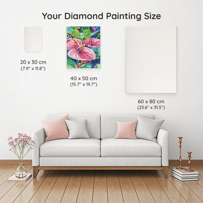 Pink Anthurium