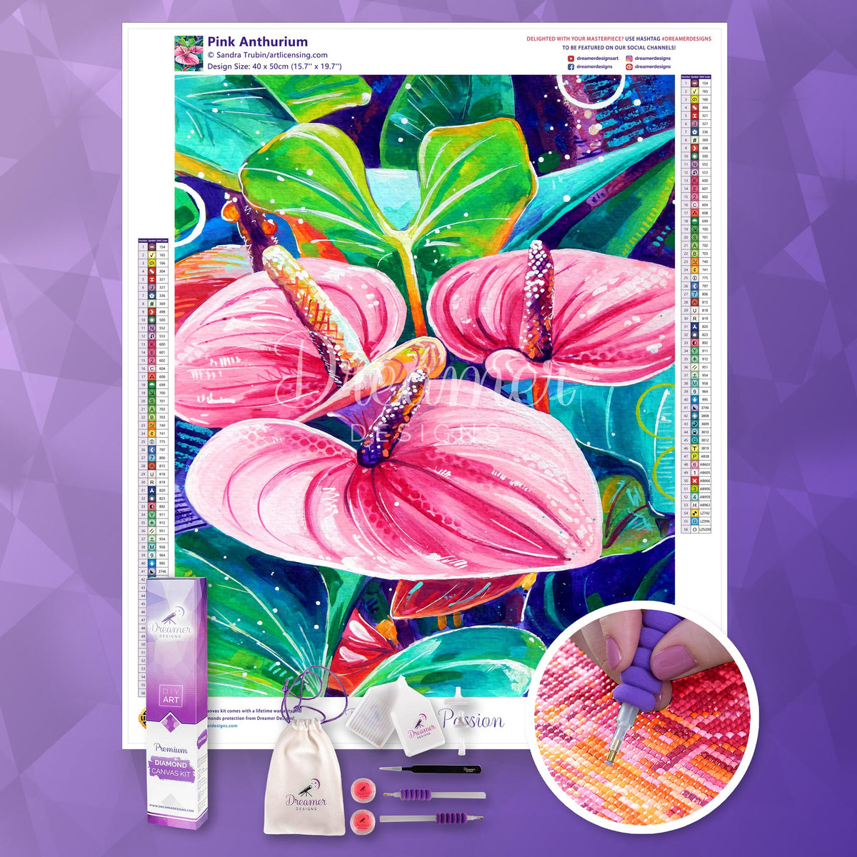Pink Anthurium