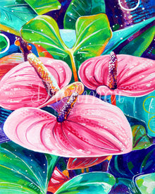 Pink Anthurium