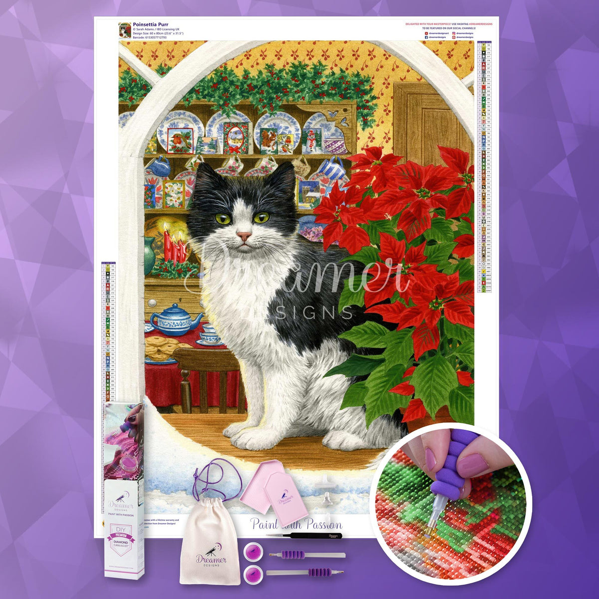 Poinsettia Purr